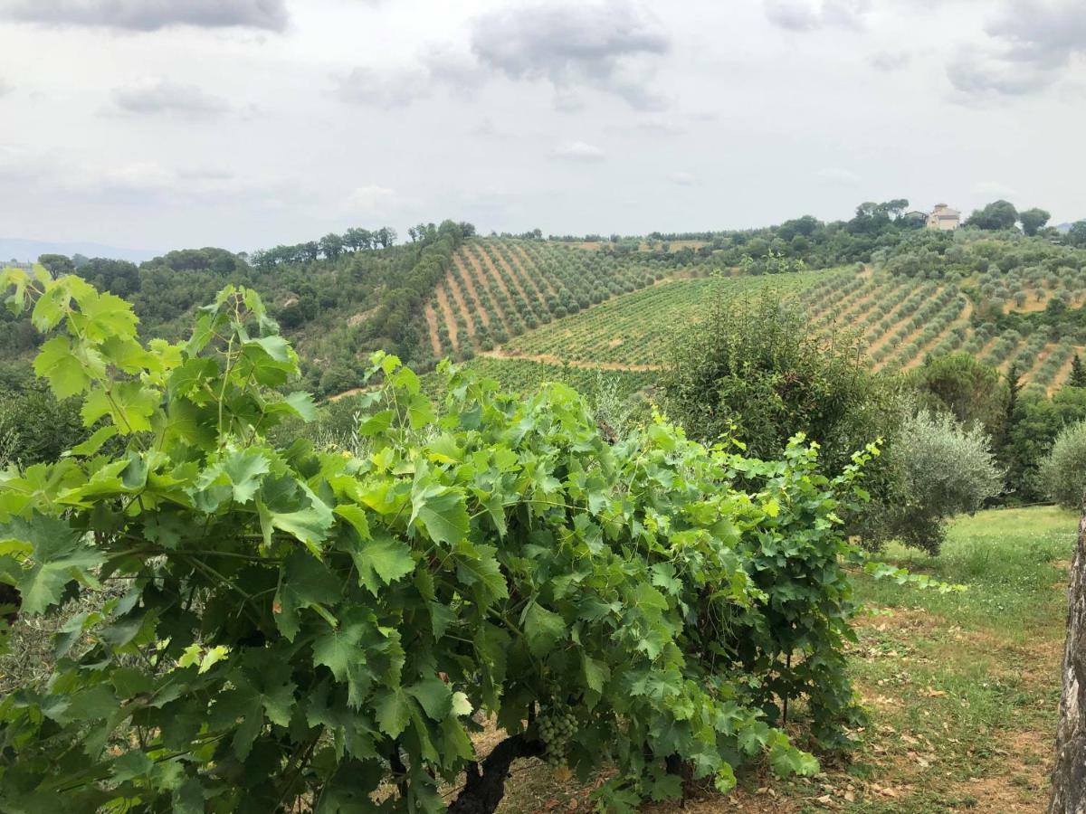 لاسترا أَ سينيا La Valle Di Anna المظهر الخارجي الصورة